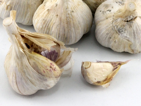 Garlic – $2 per bulb